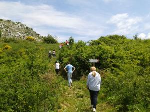 IMG-20150607-WA0288