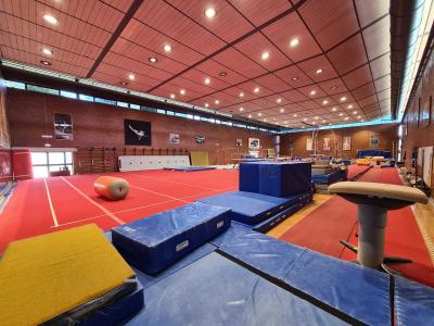 Ginnastica Artistica