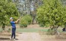 Golf Trofeo CONI Ph Simone Ferraro SFA00382