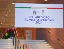 coni 0003 collari d oro sfe08180 copia simone ferraro ph