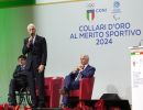 coni collari d oro lpg09222 ph pagliaricci