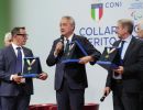 coni collari d oro lpg00147 ph pagliaricci