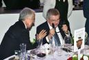 festa pescante mezzelani gmt190