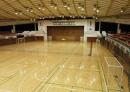 volley