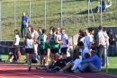 SFE_4216 copia