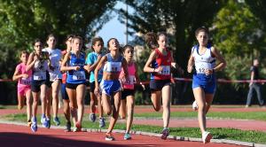 SFE_4230 copia