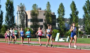 SFE_4238 copia