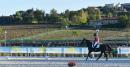 SFE_4383 copia