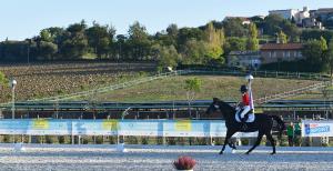 SFE_4383 copia