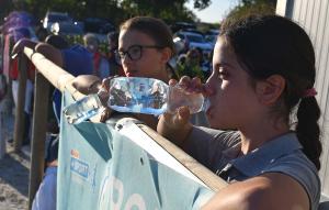 SFE_4393 copia
