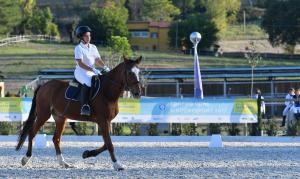 SFE_4413 copia