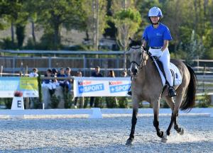 SFE_4426 copia