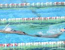 1004 trofeo coni  nuoto pinnato ph bizzi agu